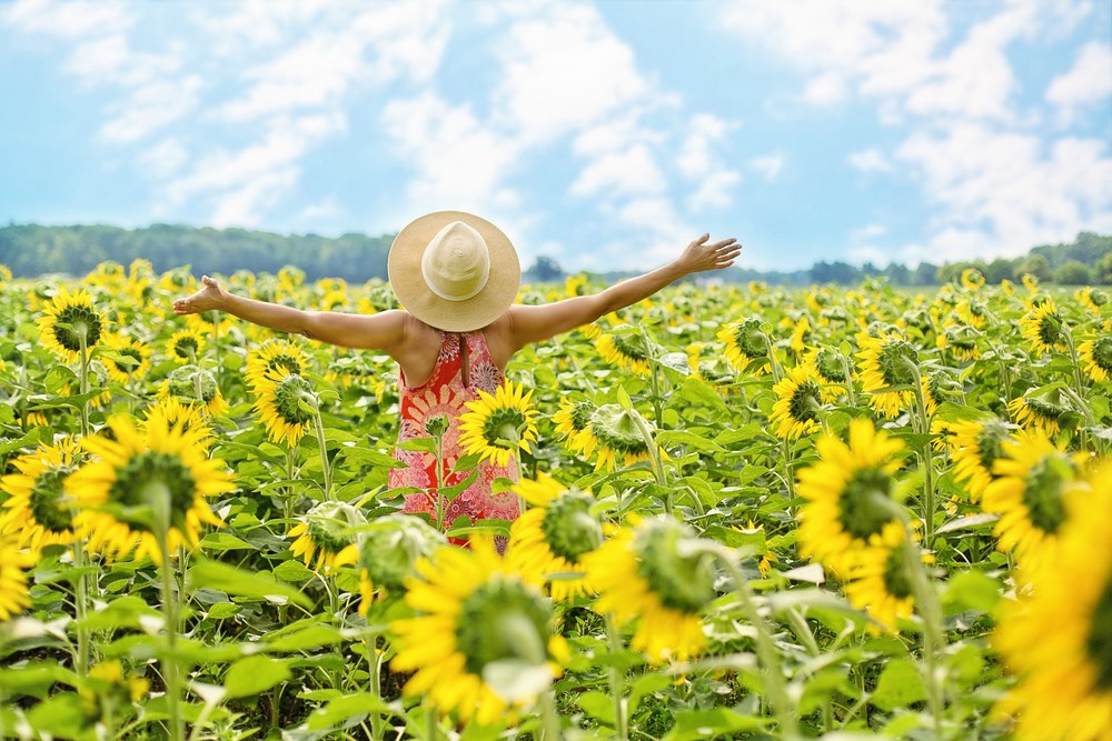 Une femme ronde de dos dans un champ de tournesol. Elle est de dos et elle est heureuse car elle écarte les bras pour manifester sa joie d'avoir pratiqué le sexe sans pénétration